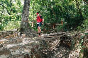 BIB: 
                            <button type="button" onclick="openModal(27800738)" class="btn btn-primary btn-sm float-right btn-popup" data-toggle="modal" data-target=".modal-high-quality">
                        <i class="fas fa-shopping-cart"></i> Add to Cart
                    </button>
                                            <button type="button" onclick="isThisMe(27800738, true)" class="btn btn-success btn-sm float-right btn-popup btn-isme hidden" data-toggle="tooltip" data-placement="bottom" title="นี่คือรูปของคุณใช่ไหม คลิกที่นี่เพื่อเอาเข้าอัลบั้ม">
                        <i class="fas fa-plus"></i> Add to album
                    </button>
                    <button type="button" onclick="isThisMe(27800738, false)" class="btn btn-warning btn-sm float-right btn-popup btn-isnotme hidden">
                        <i class="fas fa-ban"></i> Remove from album
                    </button>